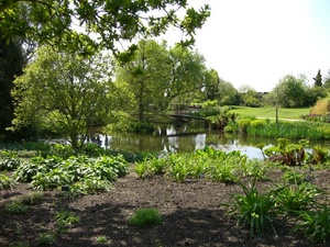 Water Garden_0015.JPG